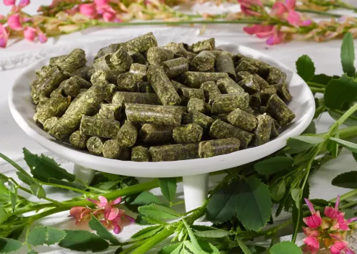 Futterpflanze Esparsette, Futter für Pferde, Esparsette Pellets, Ergänzungsfutter