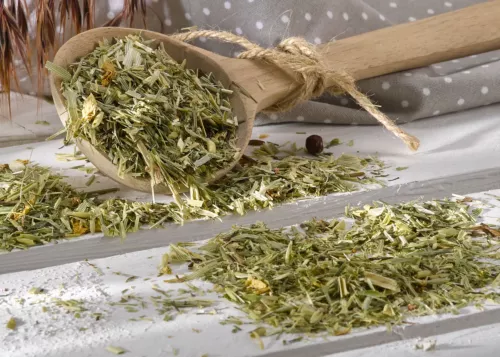 Kräuter, Kräuterfutter Pferde, Ergänzungsfutter