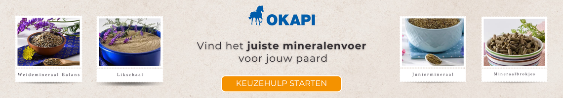 Vind het juiste mineralenvoer voor jouw paard