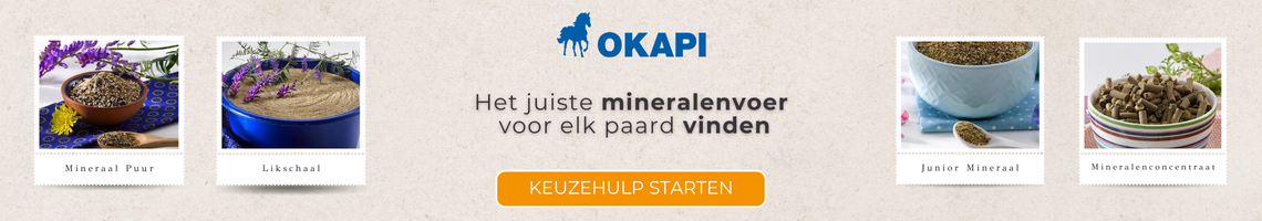 Finde das richtige Mineralfutter für dein Pferd