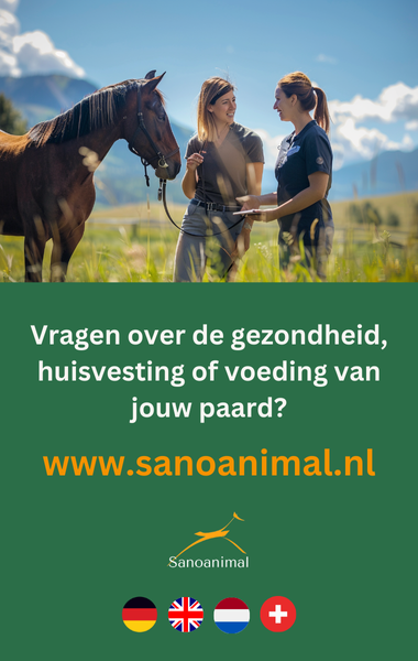 Bei Fragen zur Gesundheit deines Pferdes - Sanoanimal
