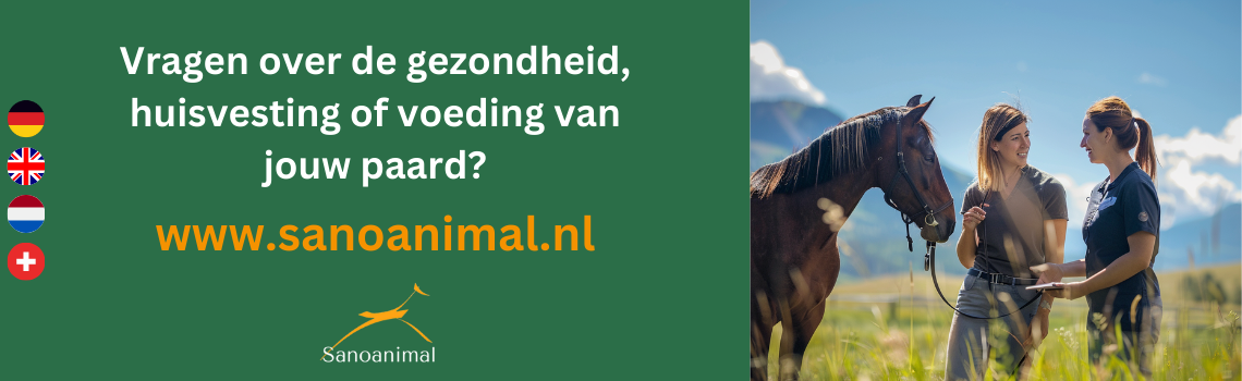 Bei Fragen zur Gesundheit deines Pferdes - Sanoanimal